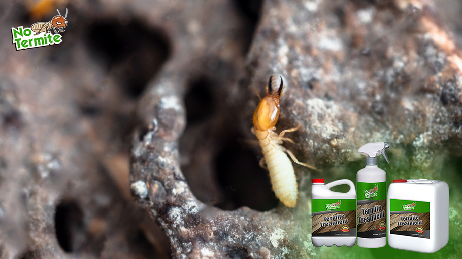 Effectieve strategieën om termieten te voorkomen: essentiële tips voor huiseigenaren