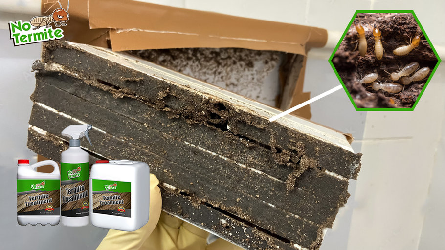 Zijn uw beleggingen veilig tegen termieten?