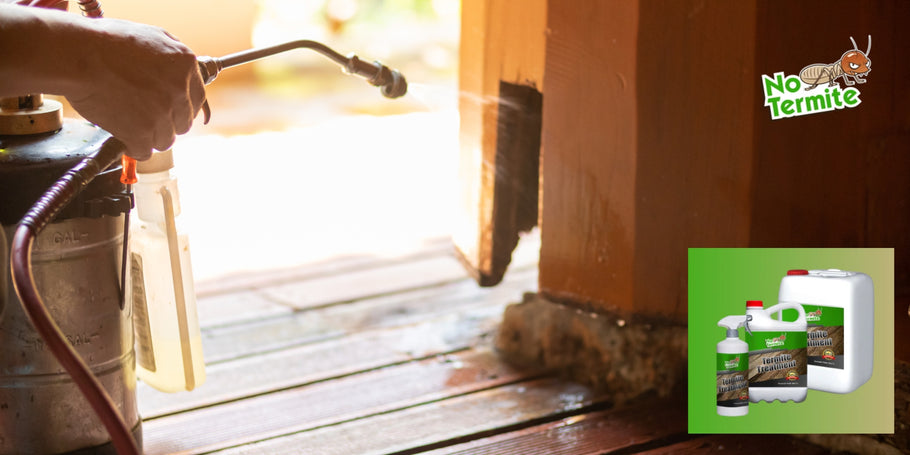 Kunnen termieten ernstige structurele schade aan een huis veroorzaken?