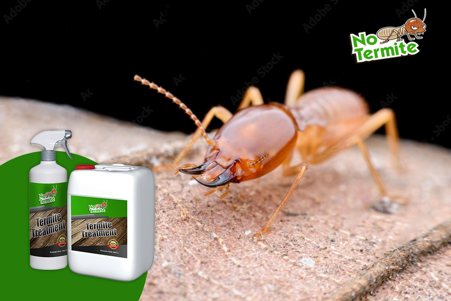 Zijn anti-termietentechnieken effectief?