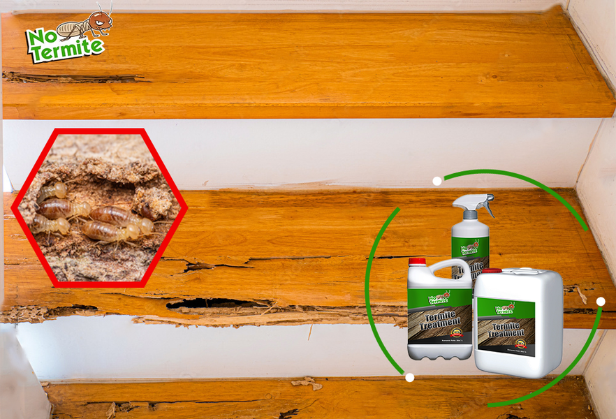 Zijn uw huizen termietbestendig?